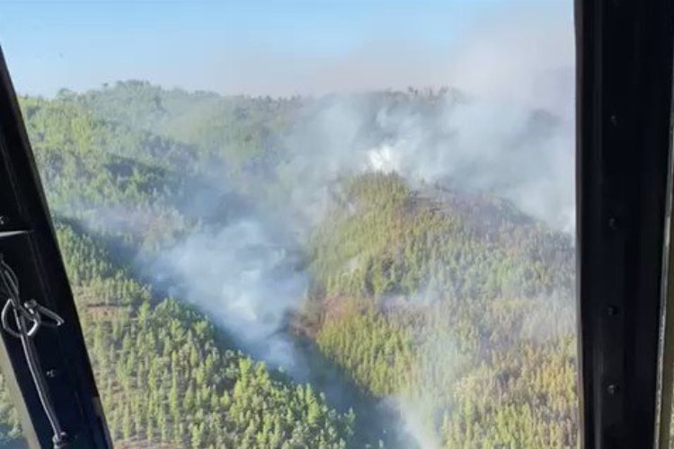 ANTALYA (İGFA) - Alanya'da bu sabah başlayan orman yangınına karadan