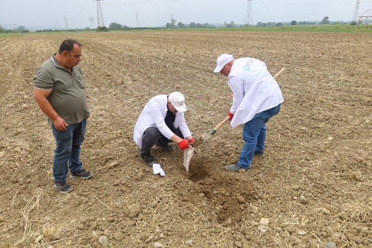 Kocaeli Büyükşehir Belediyesi, İZAYDAŞ’ta kurulan çevre laboratuvarında çiftçilere ücretsiz verilen